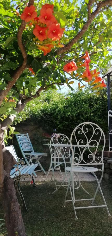 La Porta Sulla Costa Bed & Breakfast San Pantaleo Bagian luar foto