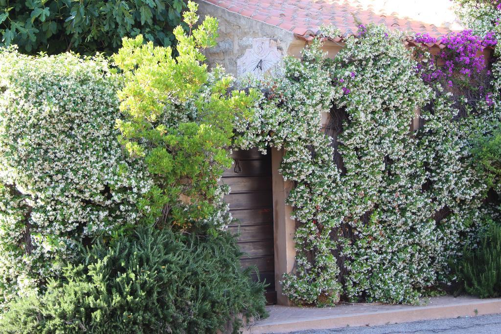 La Porta Sulla Costa Bed & Breakfast San Pantaleo Bagian luar foto